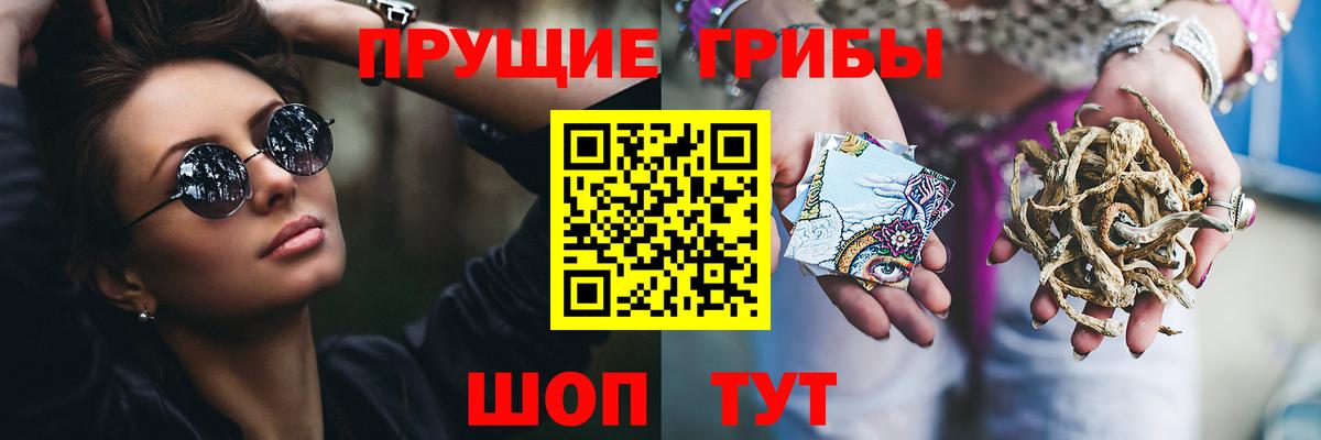 Тайшет  Галлюциногенные грибы Magic Shrooms  Псилоцибиновые грибы Psilocybe  Вход с VPN 